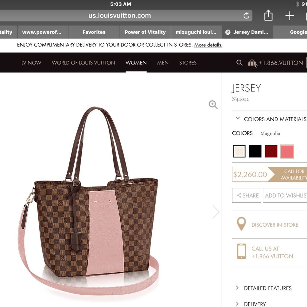 Louis Vuitton Purse - Jersey N44041